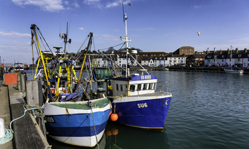 fisheries monitoring